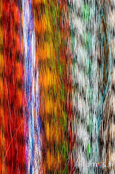 Extensions synthétiques - 40 cm, clip noir-coloré